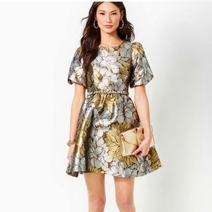 NWT Lilly Pulitzer Priyanka Dress, Size 00